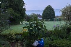 Fruehschwimmen07