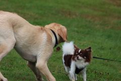 IMG_8588
