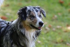 IMG_8720