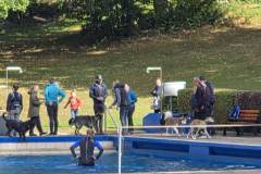 Hundeschwimmwn2025_00003