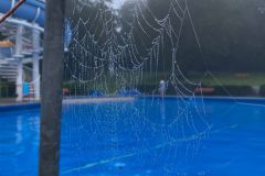 Fruehschwimmen05